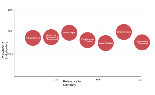 Materiality Assessment & Stakeholder Engagement